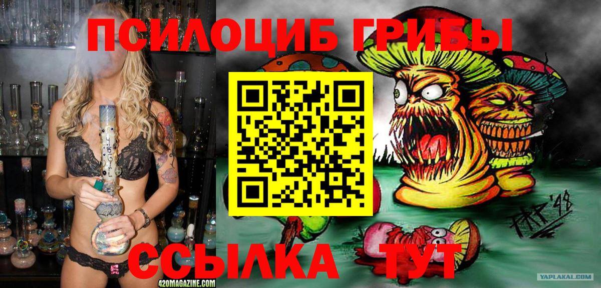 Курган  Галлюциногенные грибы ЛСД  наркота  Вход с VPN  Галлюциногенные грибы мухоморы 